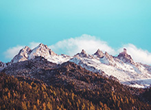 开云体育APP下载-MK体育娱乐:领跑时代的全场景新体验