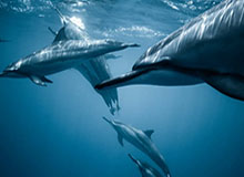 kaiyun-开云官网：把云端服务带进每一次生活